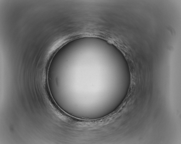 X0000111180005200907081245