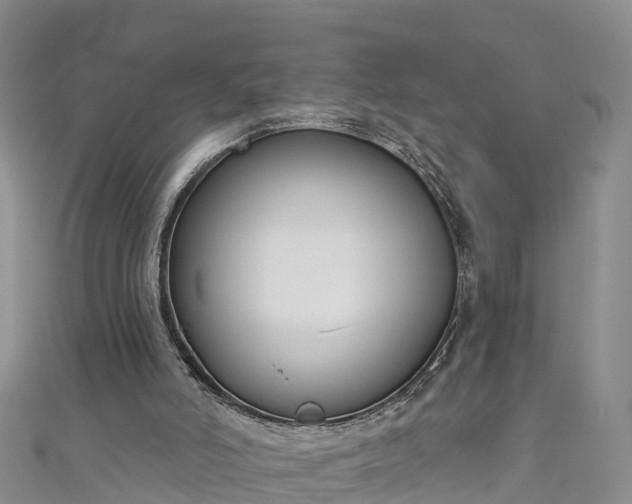 X0000111180006200907081245