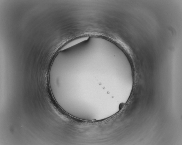 X0000111180009200907081245