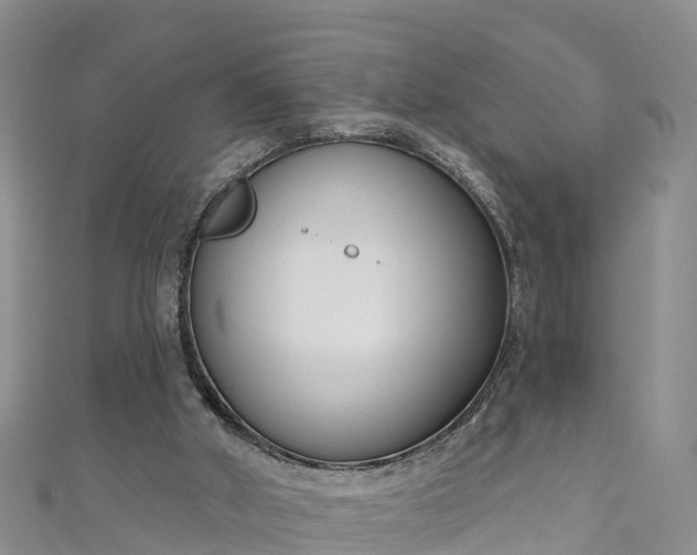 X0000111180010200907081245