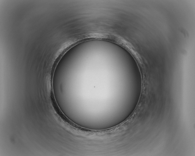 X0000111180011200907081245