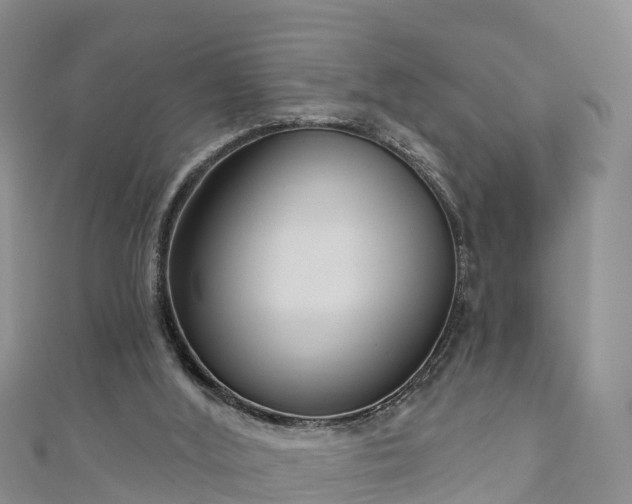 X0000111180012200907081245