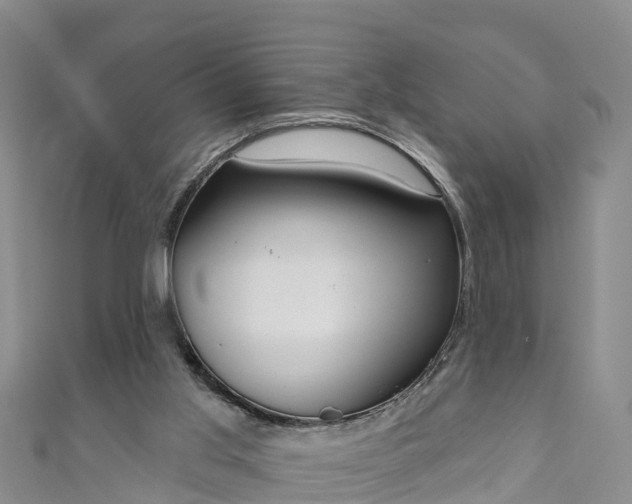 X0000111180013200907081245