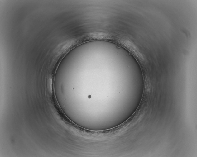 X0000111180014200907081245