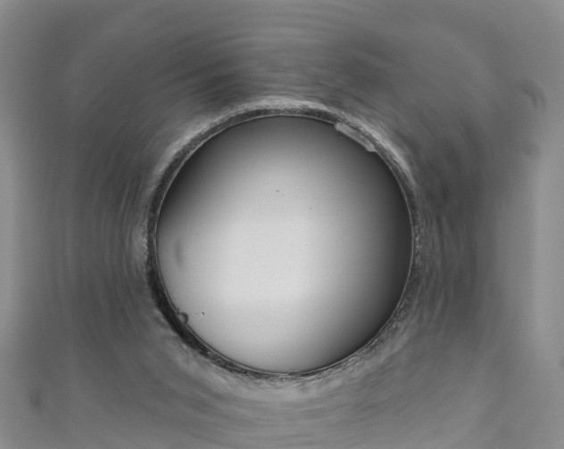 X0000111180015200907081245