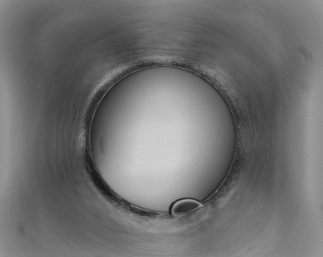 X0000111180016200907081245