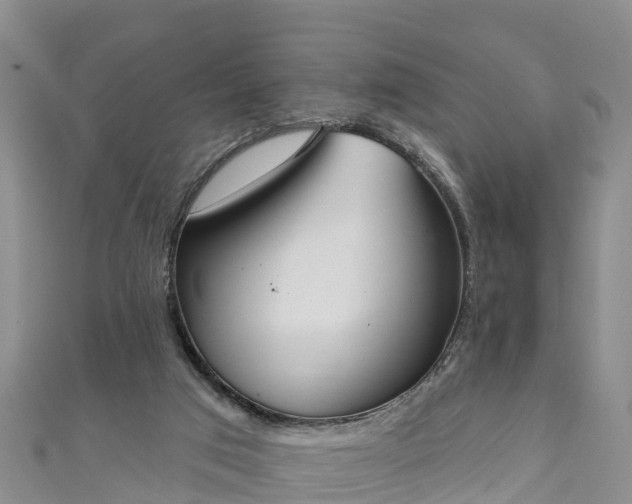 X0000111180017200907081245