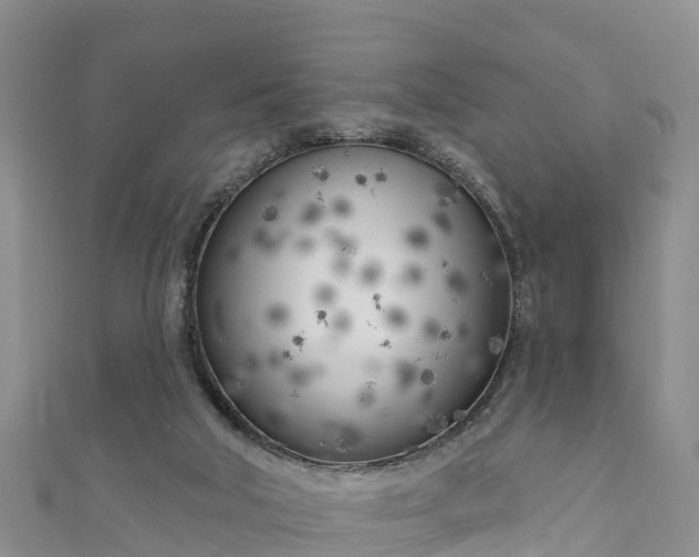 X0000111180018200907081245