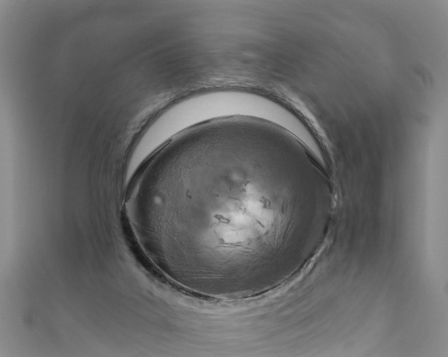 X0000111180019200907081245