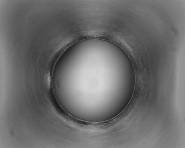 X0000111180020200907081245