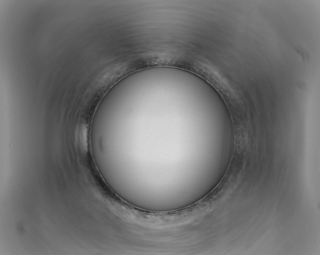 X0000111180022200907081245