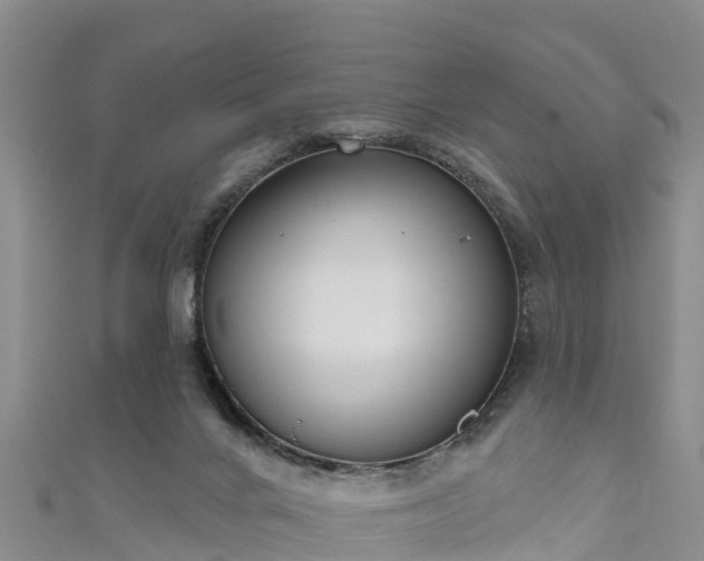 X0000111180024200907081245