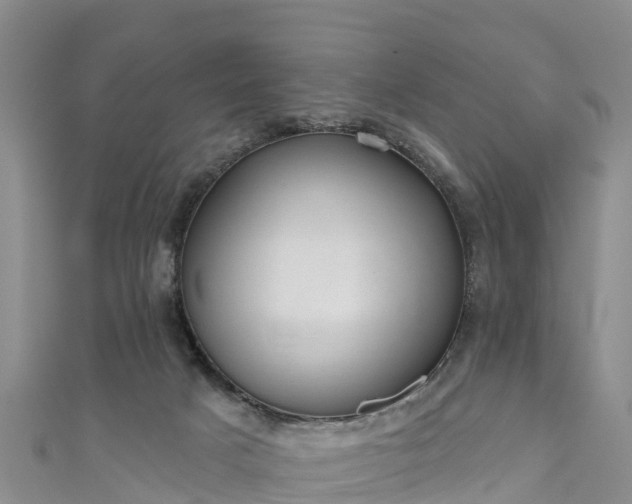 X0000111180025200907081245