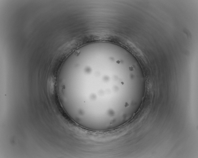 X0000111180026200907081245