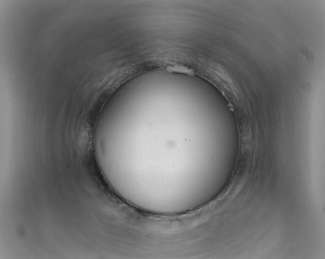 X0000111180029200907081245