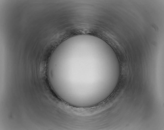 X0000111180030200907081245