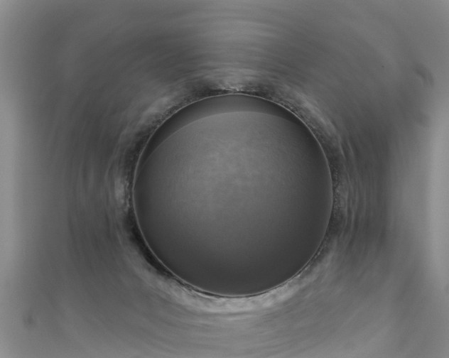 X0000111180031200907081245