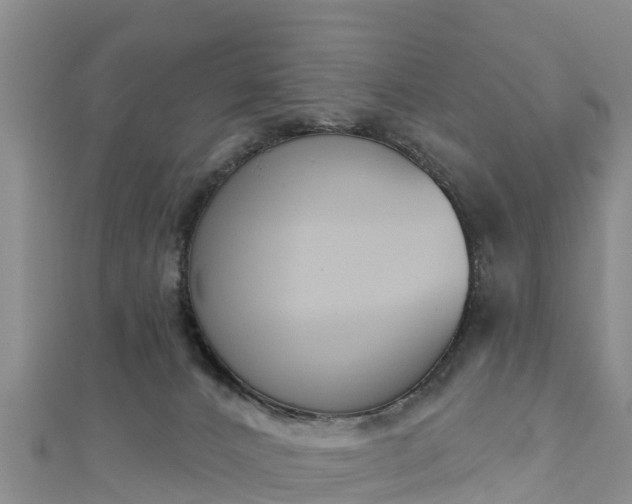 X0000111180032200907081245