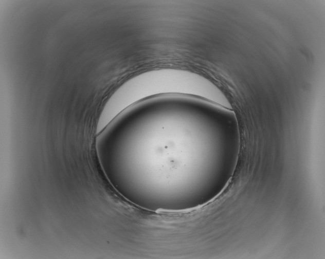 X0000111180033200907081245