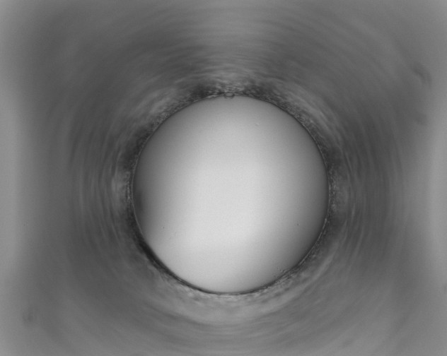 X0000111180034200907081245