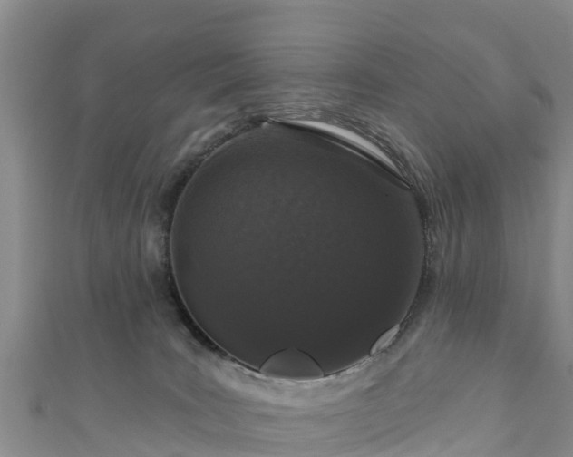 X0000111180035200907081245