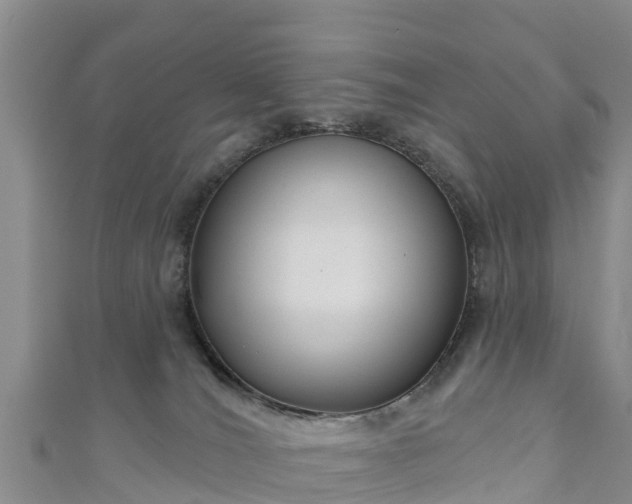 X0000111180036200907081245