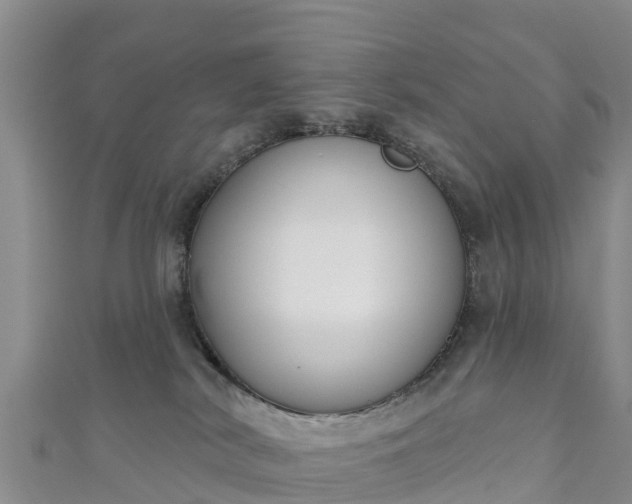 X0000111180038200907081245