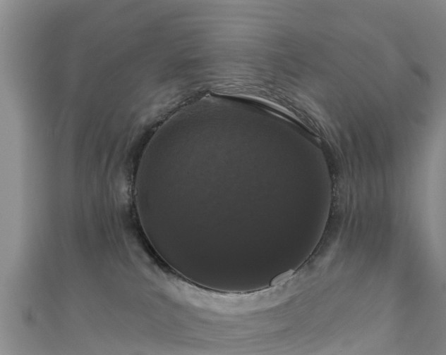 X0000111180039200907081245