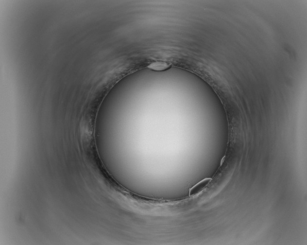 X0000111180040200907081245