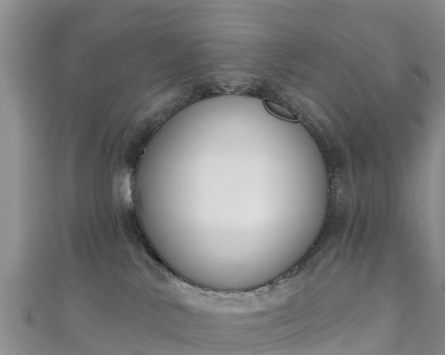 X0000111180042200907081244