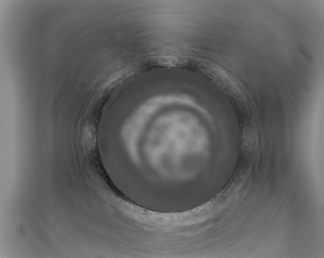 X0000111180043200907081244