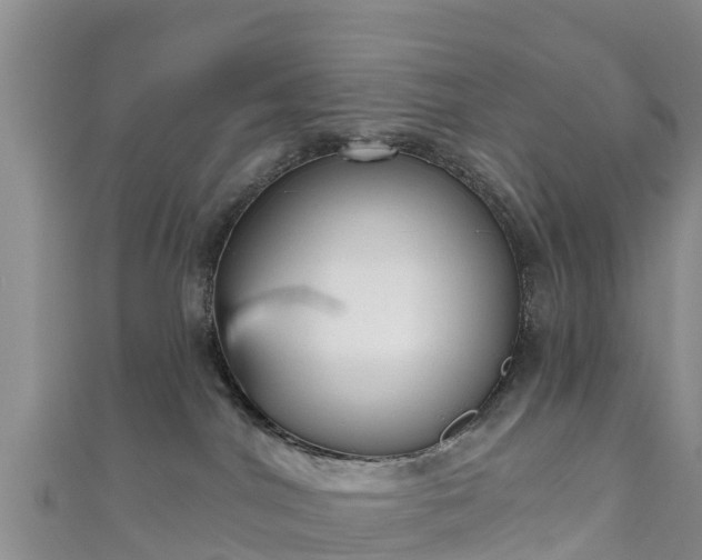 X0000111180044200907081244