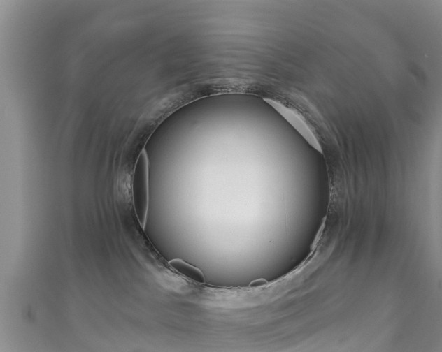 X0000111180045200907081244