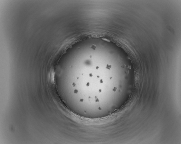 X0000111180046200907081244