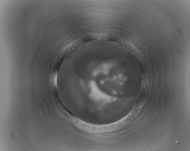 X0000111180047200907081244