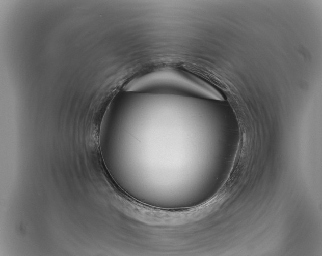 X0000111180048200907081244