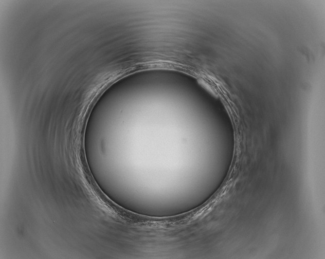 X0000111180049200907081244