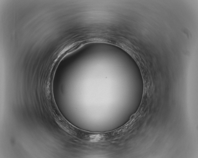 X0000111180050200907081244