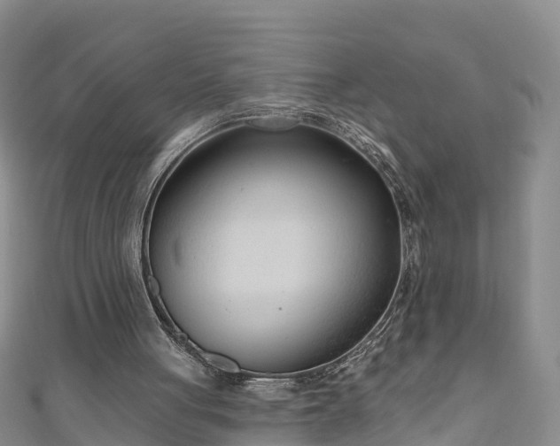 X0000111180051200907081244