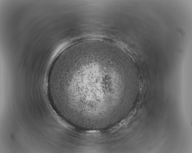 X0000111180053200907081244