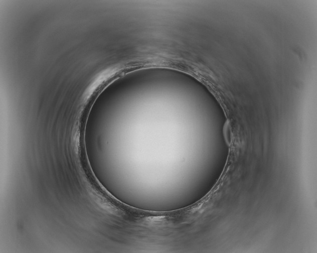 X0000111180054200907081244