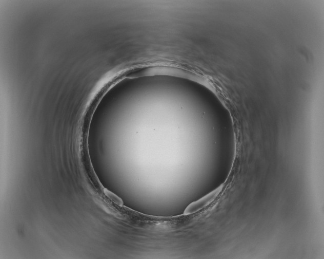 X0000111180056200907081244