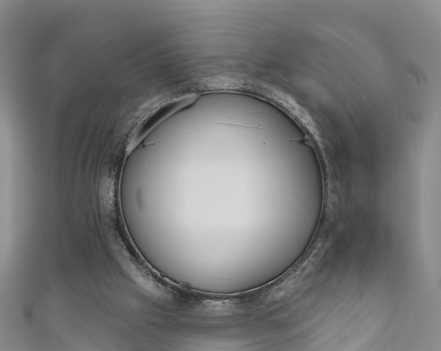 X0000111180057200907081244