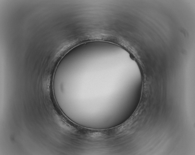 X0000111180058200907081244