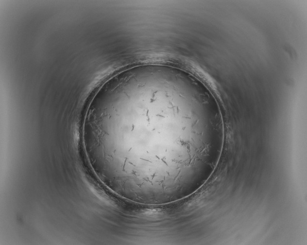 X0000111180059200907081244