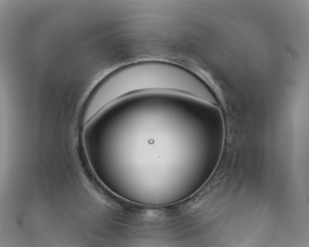 X0000111180060200907081244