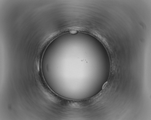 X0000111180062200907081244