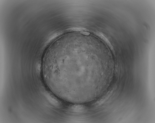 X0000111180063200907081244