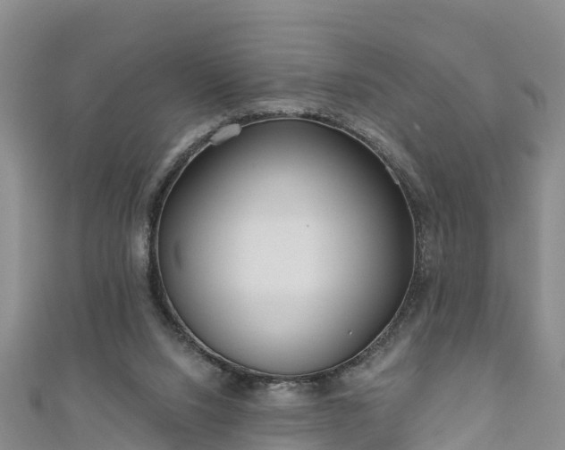 X0000111180064200907081244