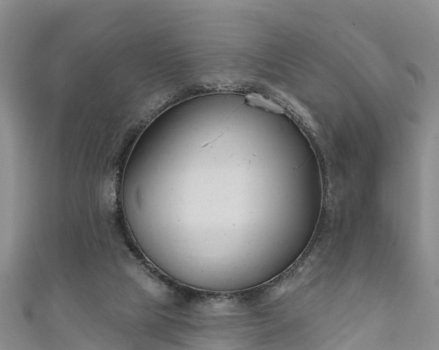 X0000111180065200907081244